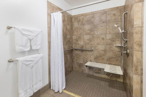 accessible roll-in shower